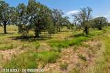 250 Ferguson Loop - Photo 4