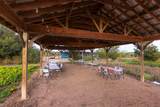 13977 Fm 2325 - Photo 12