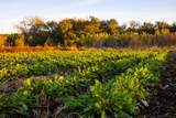 13977 Fm 2325 - Photo 25