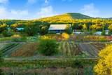 13977 Fm 2325 - Photo 35
