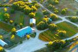13977 Fm 2325 - Photo 4