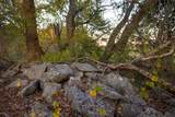 13977 Fm 2325 - Photo 7