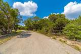 2934 Elm Terrace Ln - Photo 1
