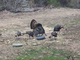 180 Robison Rd - Photo 2