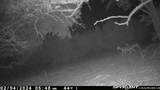 180 Robison Rd - Photo 3