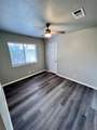 1801 Constantino Cir - Photo 21