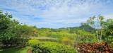 000 Exceptional Ocean, Jungle And Mountain Views! - Photo 10