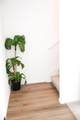 504 Sunray Dr - Photo 14