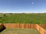 702 Gemsbok Rd - Photo 10