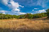 518 Curly H Ranch Rd - Photo 17