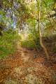518 Curly H Ranch Rd - Photo 19