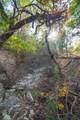 518 Curly H Ranch Rd - Photo 21