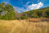 518 Curly H Ranch Rd - Photo 40