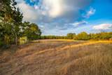 518 Curly H Ranch Rd - Photo 8