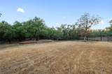 19905 Hamilton Pool Rd - Photo 38
