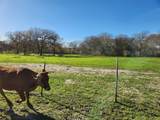 1333 County Road 414 Rd - Photo 2