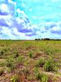 4421 Polak Rd Rd - Photo 1