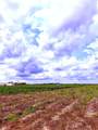 4421 Polak Rd Rd - Photo 6