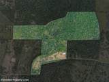 2997 County Road 258 - Photo 4