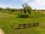 2041 County Road 429 - Photo 2