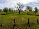 2041 County Road 429 - Photo 6