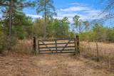 000 Dickey Loop - Photo 11