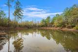 000 Dickey Loop - Photo 13