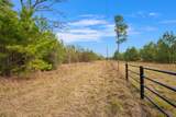 000 Dickey Loop - Photo 18