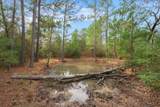 000 Dickey Loop - Photo 21