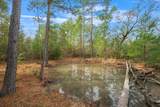 000 Dickey Loop - Photo 22