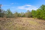 000 Dickey Loop - Photo 23