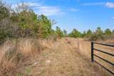000 Dickey Loop - Photo 28