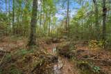 000 Dickey Loop - Photo 31