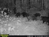 000 Dickey Loop - Photo 38