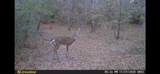 000 Dickey Loop - Photo 40