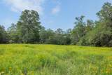 TBD County Road 459 Rd - Photo 11