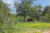 TBD County Road 459 Rd - Photo 14