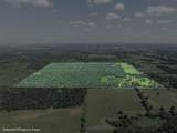 TBD County Road 459 Rd - Photo 19