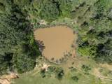 TBD County Road 459 Rd - Photo 25