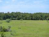 TBD County Road 459 Rd - Photo 34