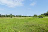 TBD County Road 459 Rd - Photo 4