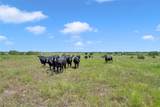 10600 County Road 210 Rd - Photo 28