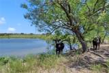 10600 County Road 210 Rd - Photo 4