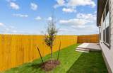 5218 Monarda Mint Dr - Photo 27