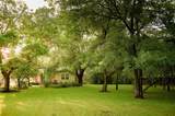 4902 Pecan Springs Rd - Photo 7