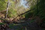 1700 County Road 216 - Photo 8