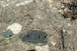 1110 Wildwood Xing - Photo 3