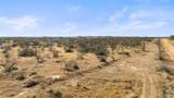 6304-A County Road 110 Rd - Photo 5