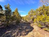 985 Oblate Dr Dr - Photo 10
