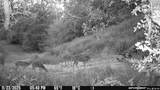 1705 Makinson Rd - Photo 38